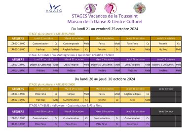 PROGRAMME - STAGE PLURI Toussaint 2024